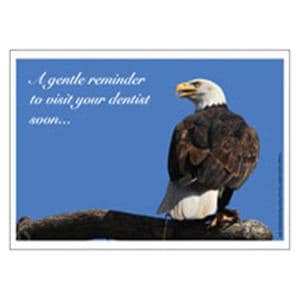 Imprinted Recall Cards Bald Eagle 4 in x 6 in 250/Pk