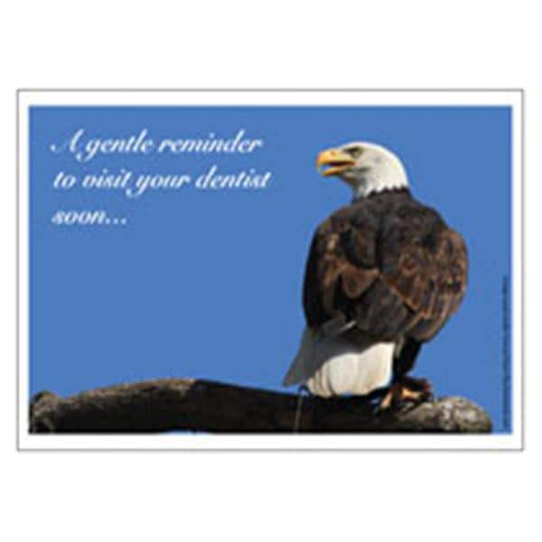 Imprinted Recall Cards Bald Eagle 4 in x 6 in 250/Pk