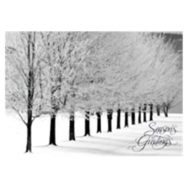 Imprinted Holiday Postcards Snowy Arbor Avenue 100/Pk