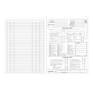 Dental / Medical Dental Chart 100/Pk