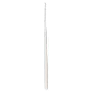 Absorbent Points Coarse White 200/Bx