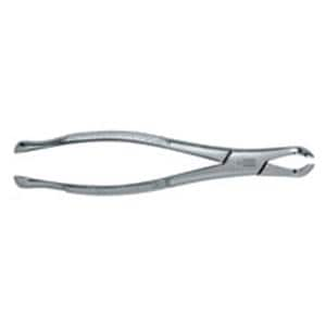 Extracting Forceps Size 222 Adult Ea