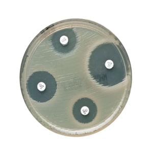 Oxoid Cepholathin Susceptibility Disk 5/Pk