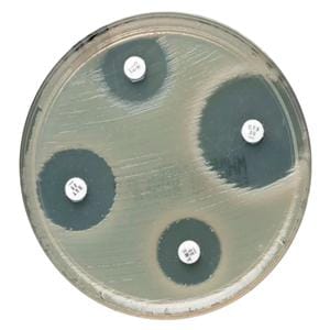 Oxoid Gentamicin Susceptibility Disk 5/Pk