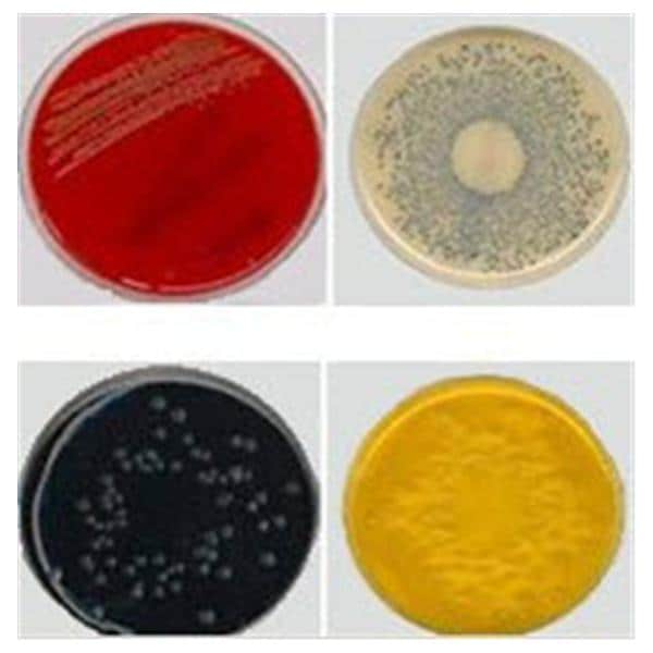 Culture Inhibitory Mold Agar 26mL Monoplate 10/Pk