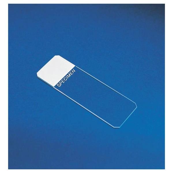 Fisherbrand Frosted Microscope Slide 3x1" White 144/Pk