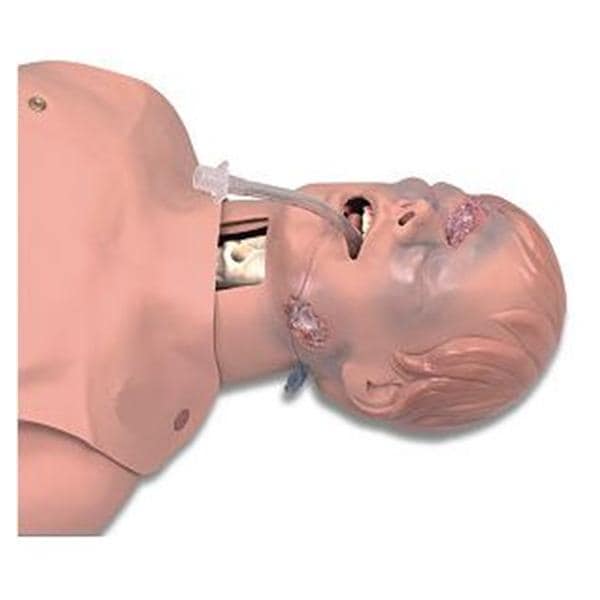 Upper Half Training Adult Male Manikin Ea