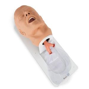 Economy Airway Management Adult Trainer Ea