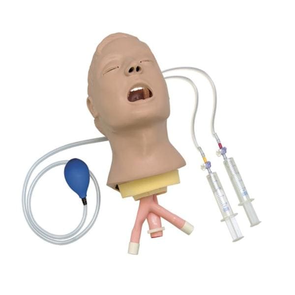 Life/form Airway Training Head Ea