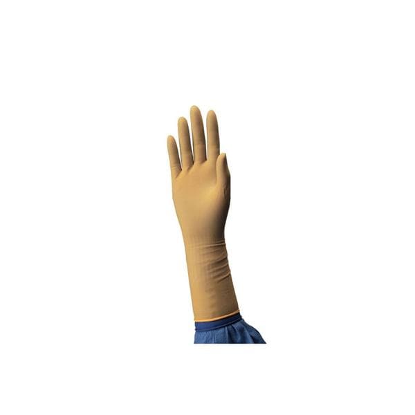 Surgical Gloves 5.5, 4 BX/CA