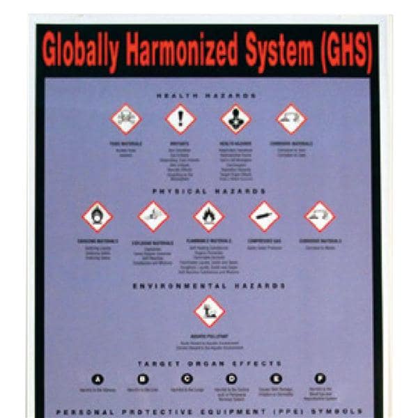 Hazardous Materials 9x25 Safety Wall Chart Ea