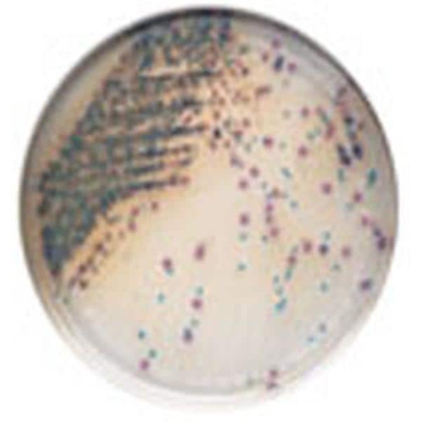 CHROMagar Orientation Agar Culture Plate 100/Pk