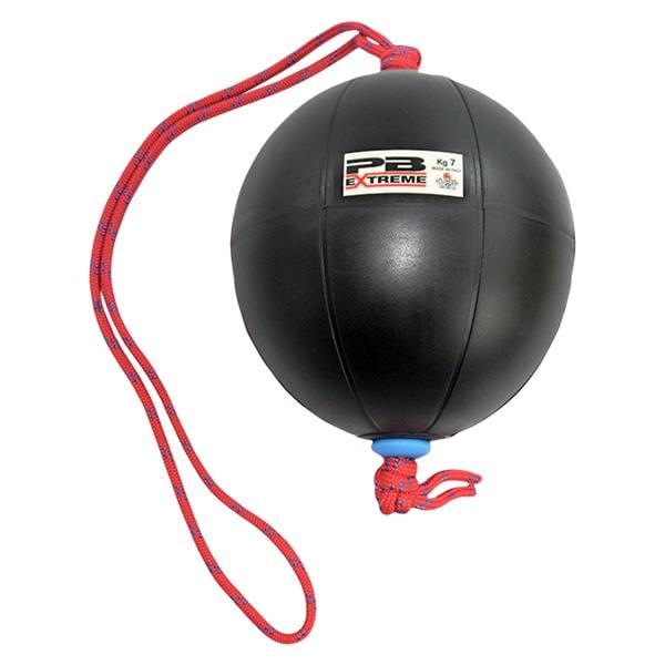 Converta-Balls Medicine Ball