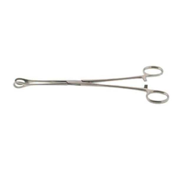 Foerster Sponge Forcep Straight 7" Stainless Steel Ea