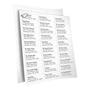 White Inkjet/Laser Address Labels 1 in x 2 5/8 in 750/Pk