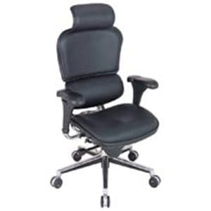 Ergohuman High-Back Leather Chair Chrome Frame Black Leather 46x26x27.5 Ea