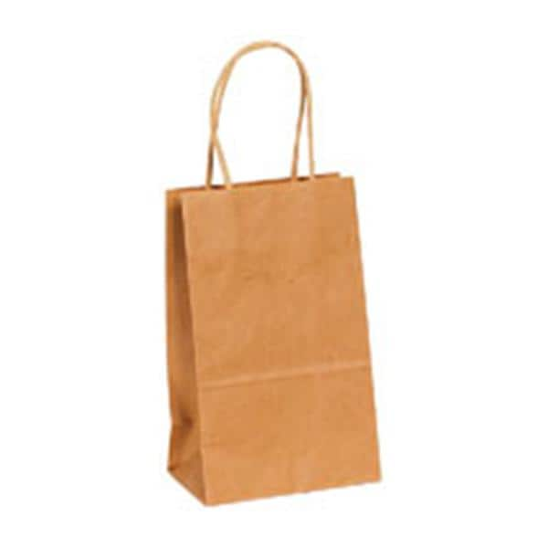 Kraft Paper Shopping Bags 8 3/8 in x 5 1/4 in x 3 1/4 in 250/Pack