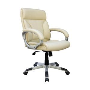 Office Desk Chair Ivory Ea