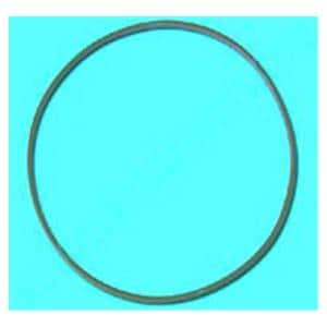 Door Gasket For Chemiclave 5500 5500 Ea