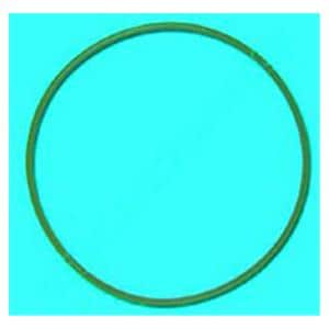 Door Gasket For Chemiclave 6000 6000 Ea