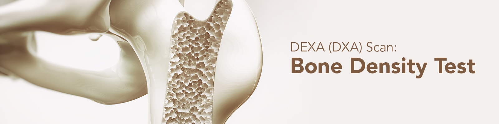 DEXA Scan Machines | Bone Density Scanners